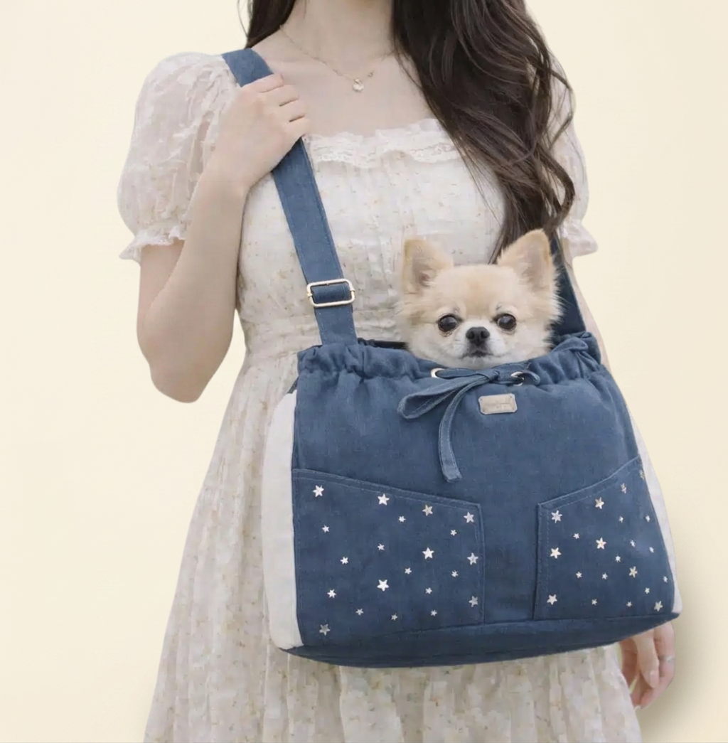 Denim Shoulder Bag