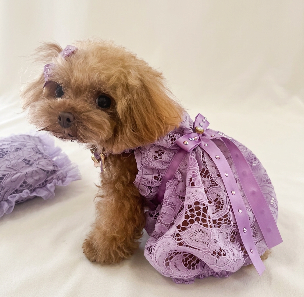 Violet Dress