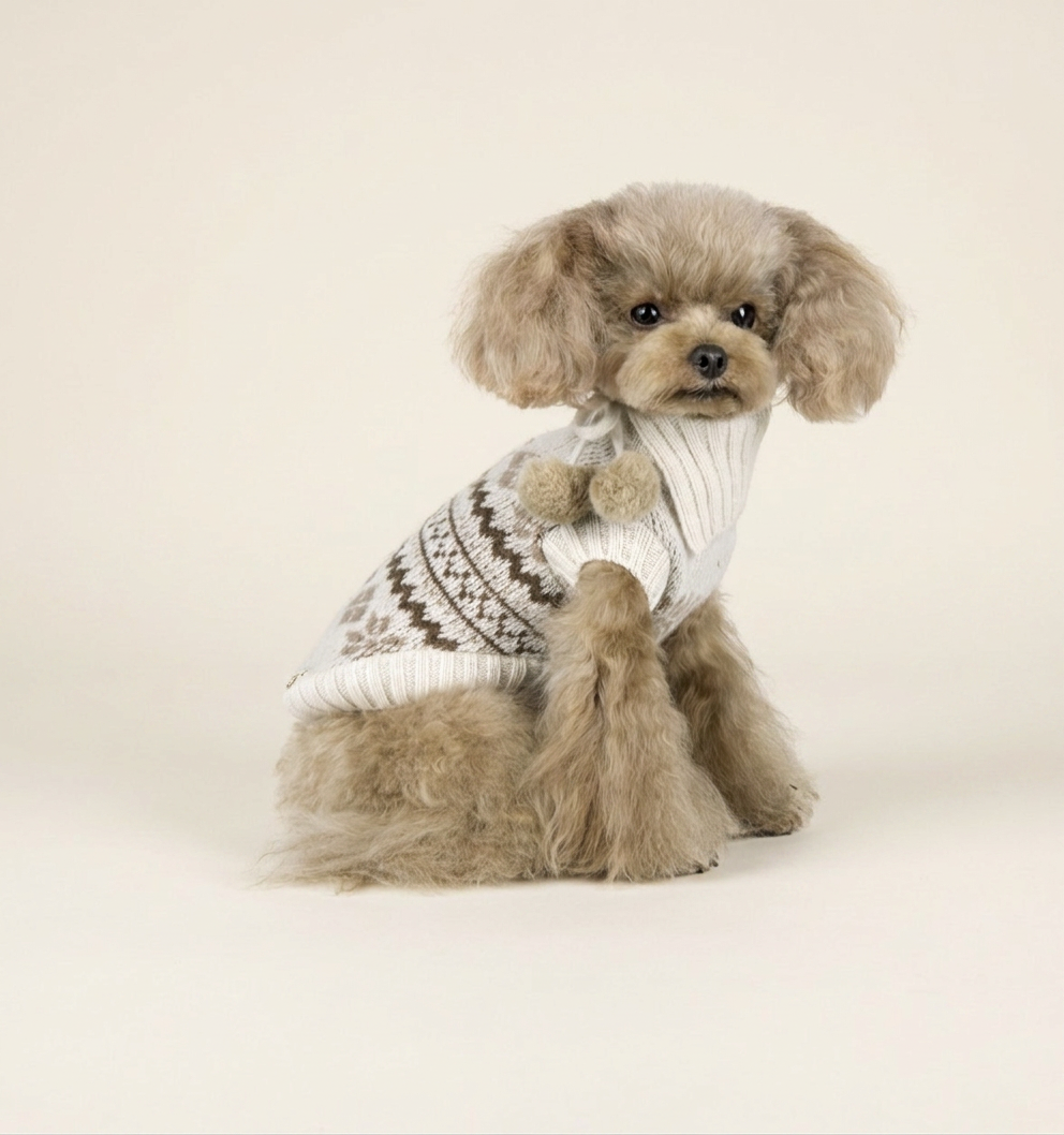 Hiver Mon Amour Pull