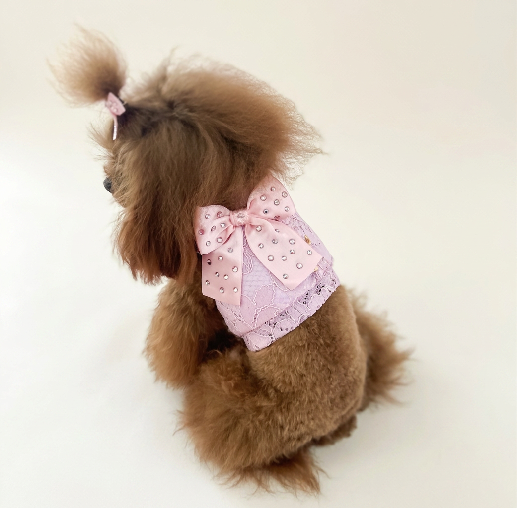 Lace Harness Jacket Pink