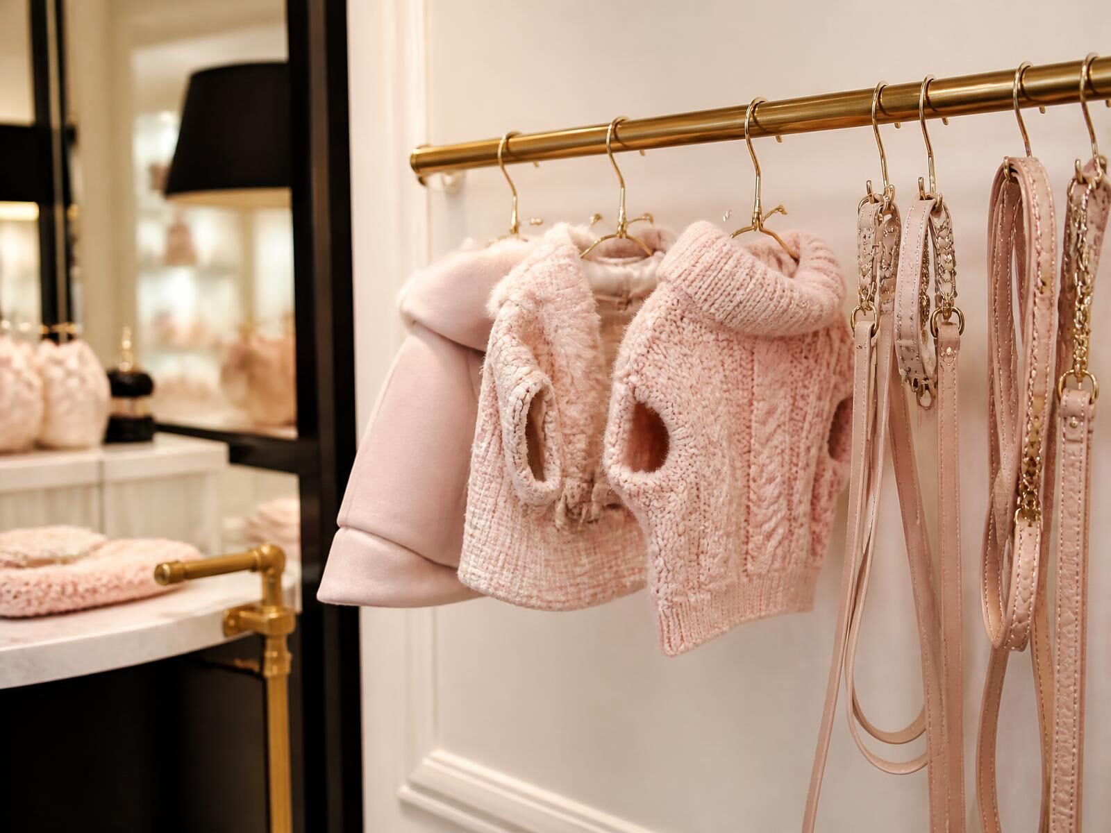 Cappottini e guinzagli di lusso rosa appesi in boutique